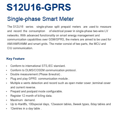 S12U16 single phase meter write up